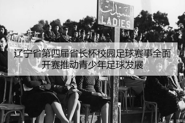 liao-ning-sheng-di-si-jie-sheng-zhang-bei-xiao-yuan-zu-qiu-sai-shi-quan-mian-kai-sai-tui-dong-qing-shao-nian-zu-qiu-fa-2-257.jpg